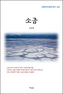 강경애 소금 (근현대 한국문학 읽기 324) (커버이미지)